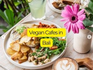 Must Visit Vegan Cafes in Bali